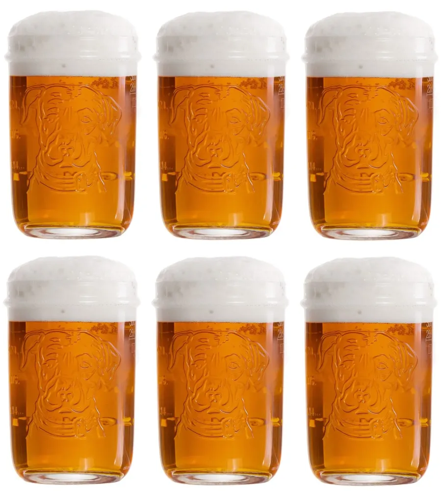 Lagunitas Bierglazen - 300 ml - 6 stuks