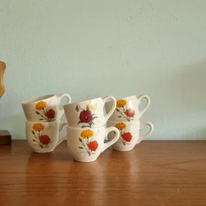 Set 6 kopjes Boch rood en oranje veldbloemen My Store