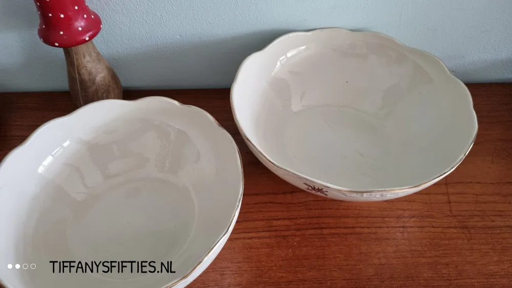 Set 2 schalen Boch "Capri" Suzon My Store