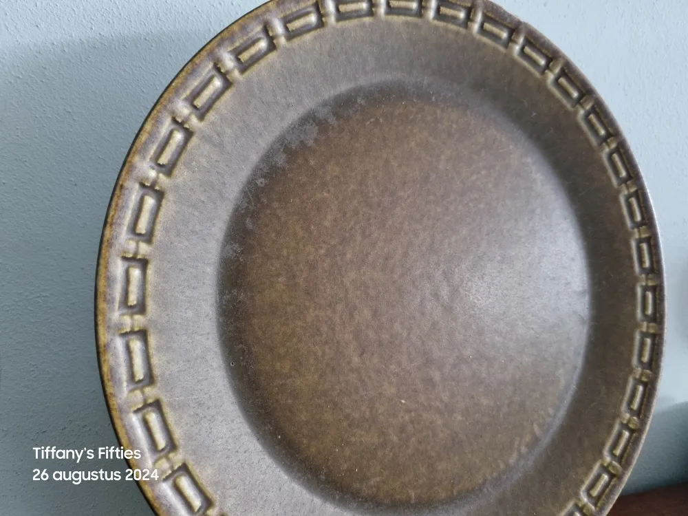 Vintage dinerbord Ceramano legergroen My Store