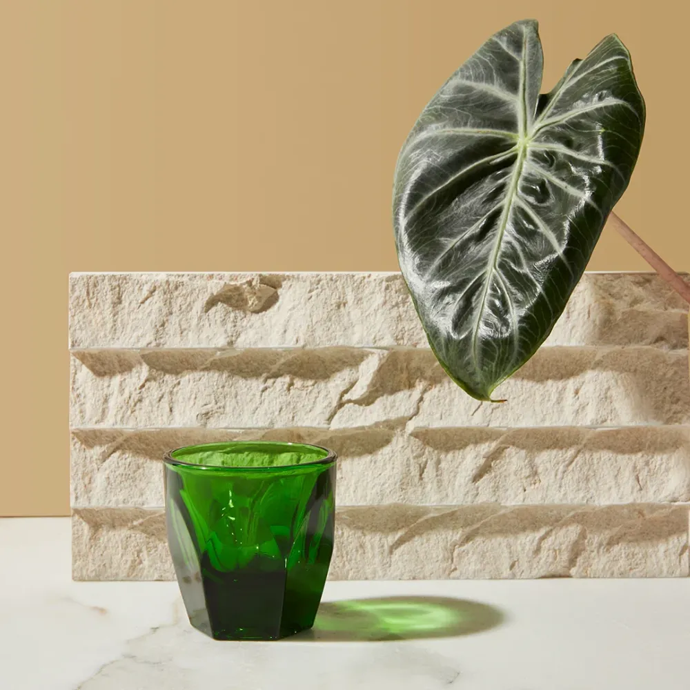 notNeutral Vero Cortado Glass - 125 mL