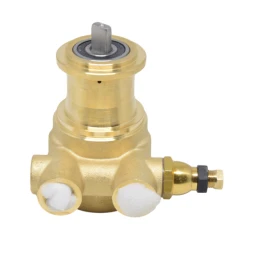 Rotatiepomp - 100 Liter/uur - 3/8" Nuova Ricambi