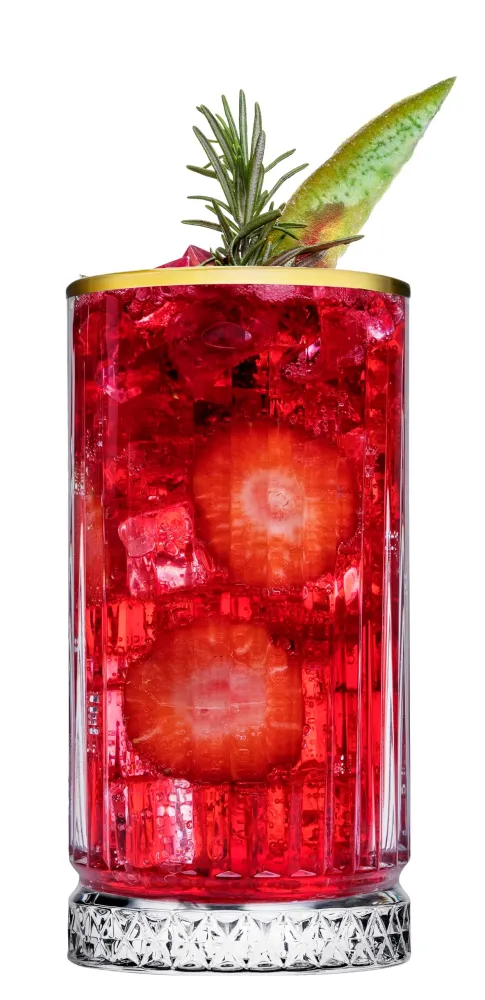 Pasabahce ELYSIA Golden Touch – Longdrinkglazen 450 ml (Set van 4)