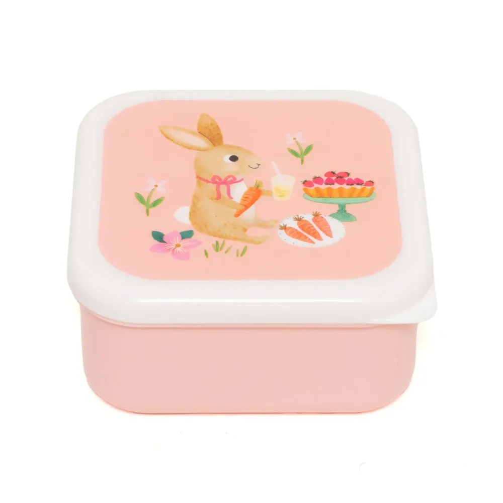 Petit Monkey Snackdozen Animals Picnic Back to School - Multi