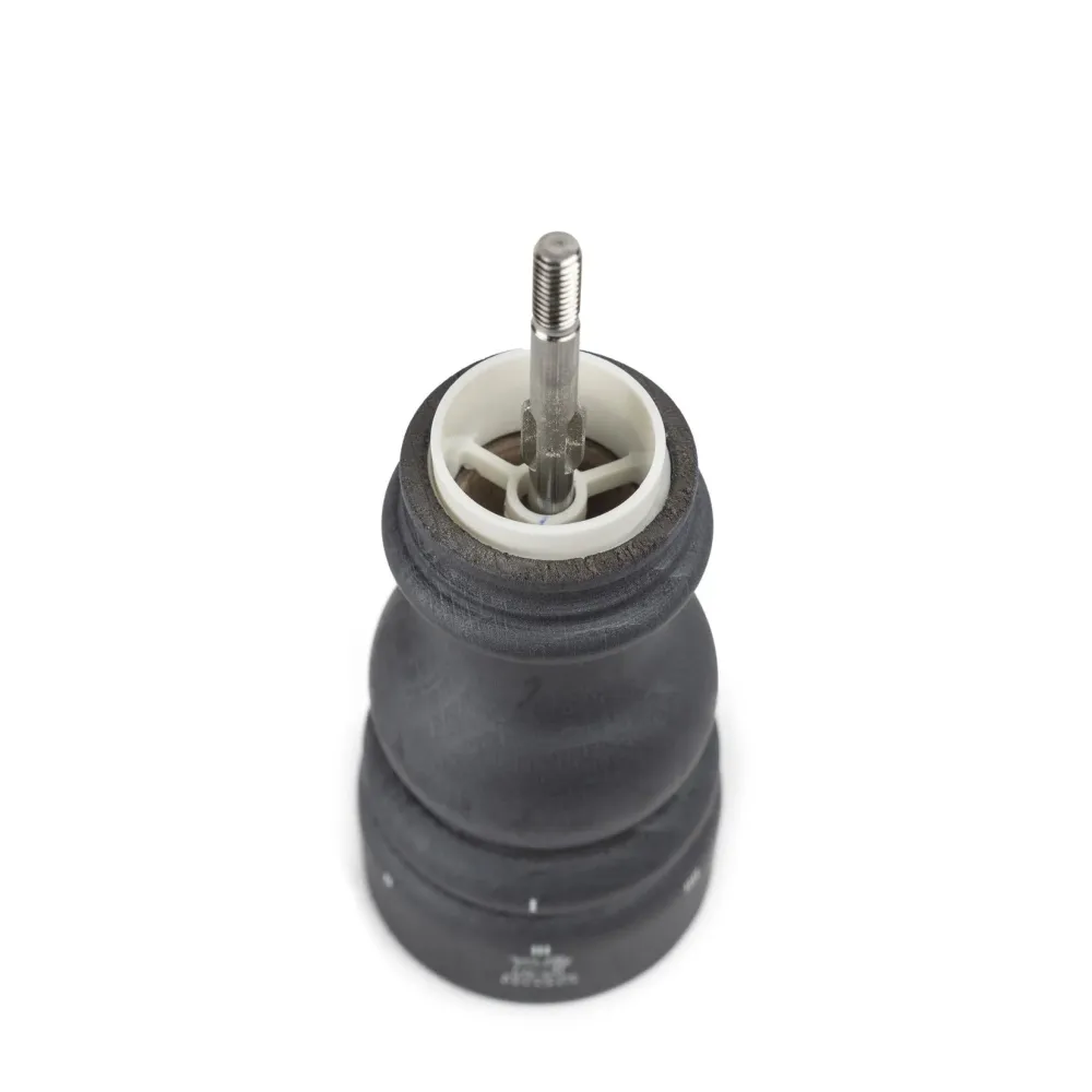 Peugeot PARIS U'SELECT paris zoutmolen u’select graphite 15 cm