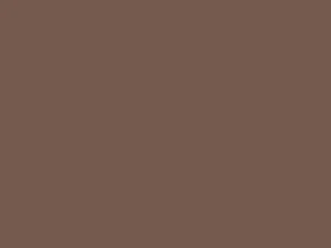 Placemats Chestnut 35x45 4x1000st. 174581 -