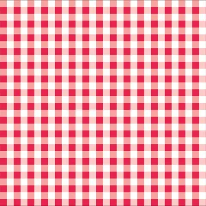 Placemats Vichy Red 500 st. -
