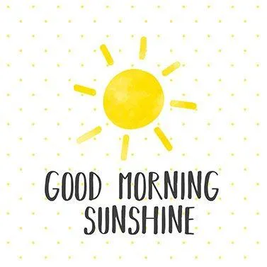 PPD Good Morning Sunshine 33x33 cm