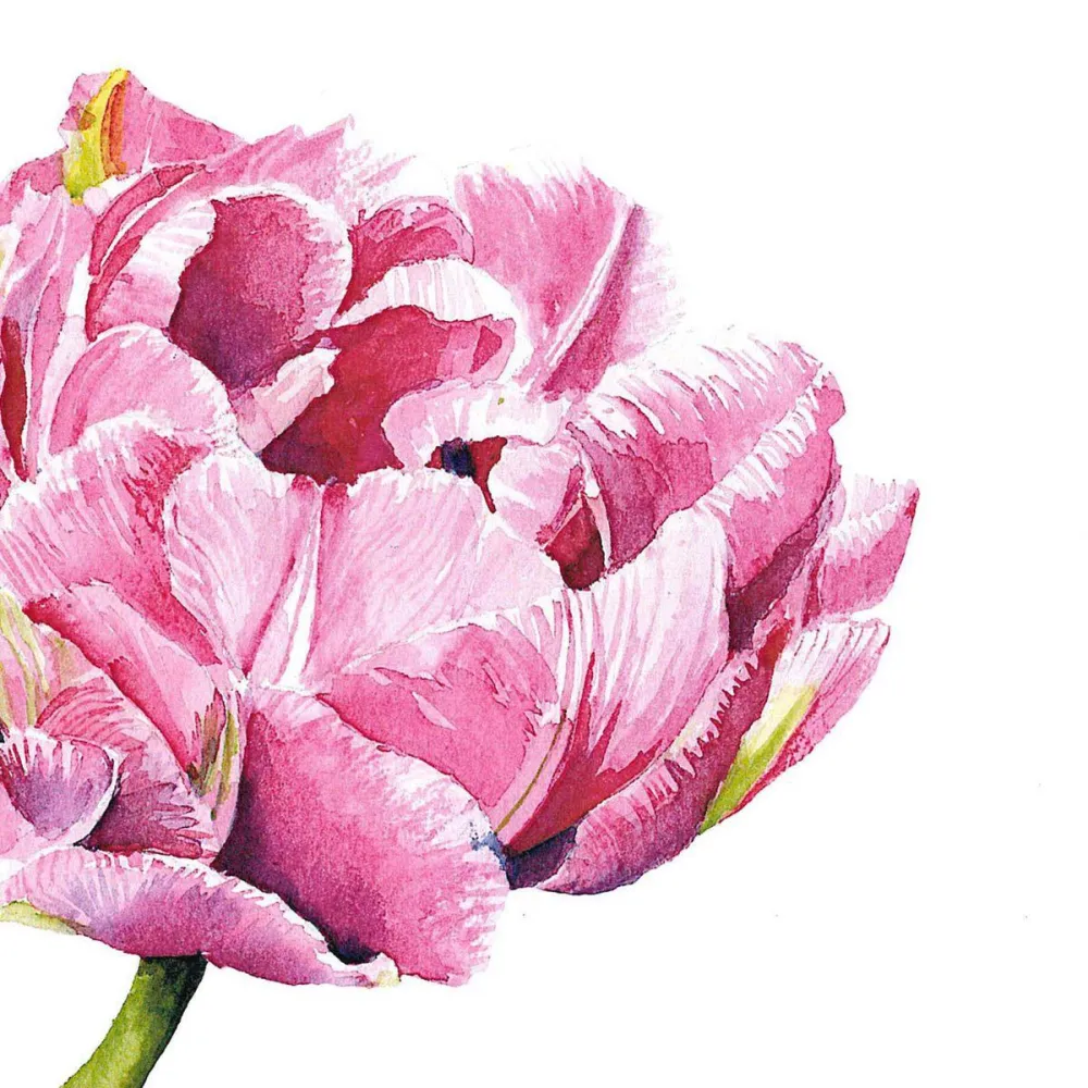 PPD Pink Parrot Tulip Napkin 33x33