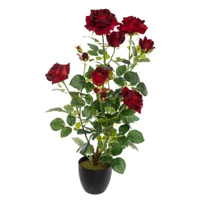 Veloursen rozen pot H74 rood wit Rood PRIFIX shop
