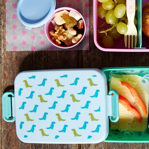 Rice Large Lunchbox Divider Dinosaur Print