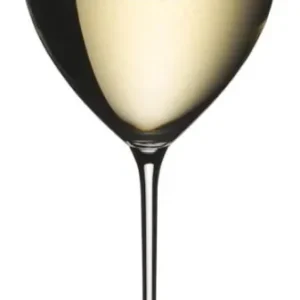 Riedel Witte Wijnglas Superleggero - Sauvignon Blanc - 400 ml