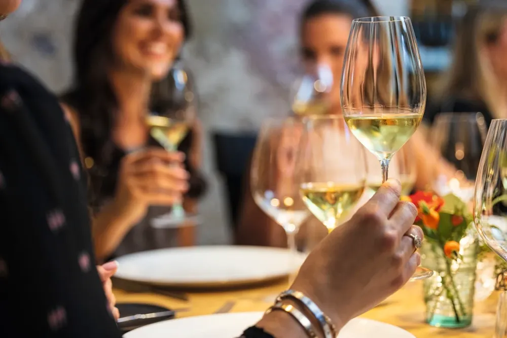 Riedel Witte Wijnglazen Performance - Sauvignon Blanc - 440 ml - 2 stuks