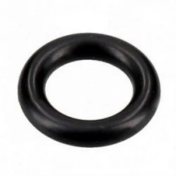 Saeco O-ring 2015