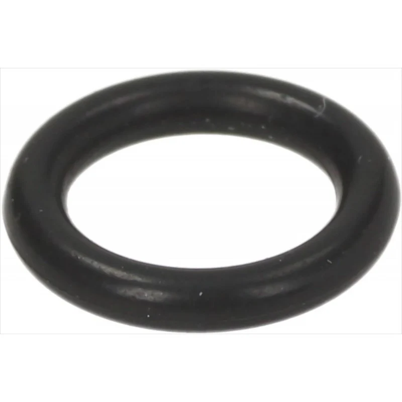 Saeco O-Ring ventiel houder