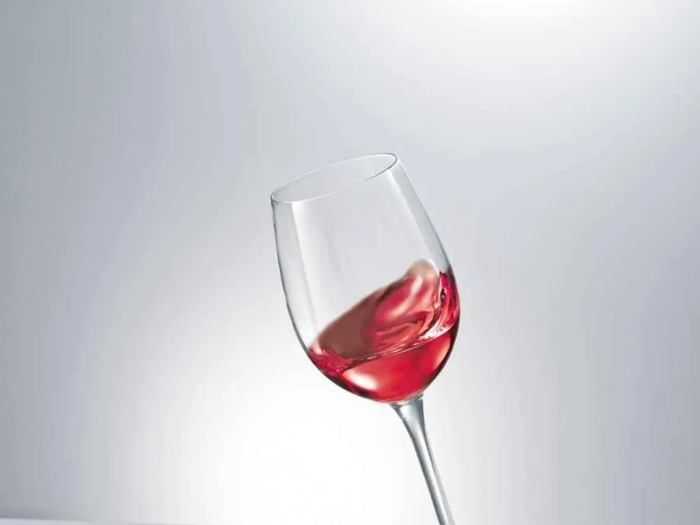Schott Zwiesel Ever (Classico) Bourgogne Wijnglas 41 cl - Doos 6 stuks