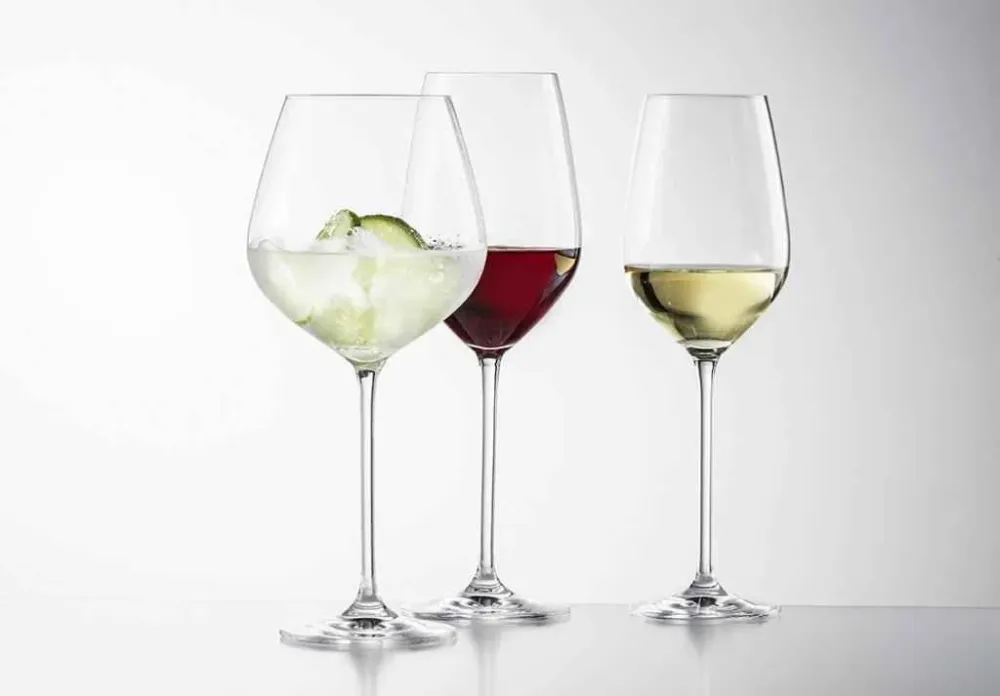 Schott Zwiesel Fortissimo 18-delige set