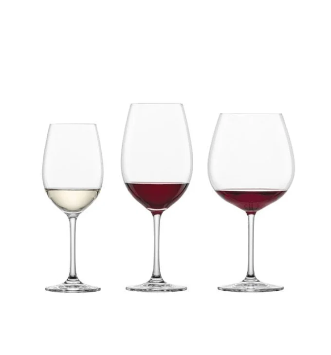 Schott Zwiesel Ivento 18-delige set Bodini