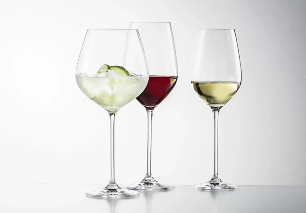 Schott Zwiesel Fortissimo 18-delige set