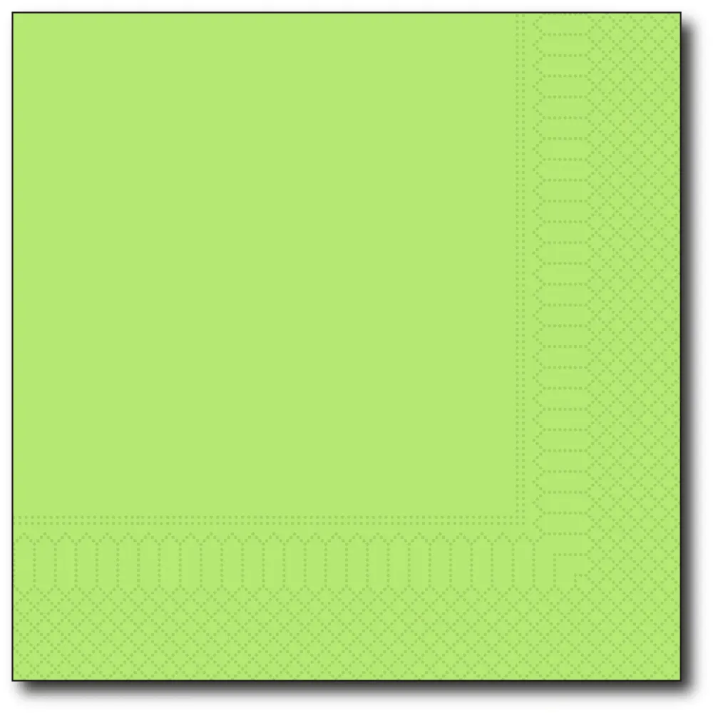 Servetten N40/2 8-vouw summergreen 2000 st.