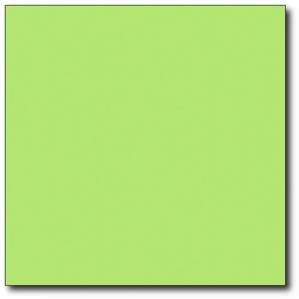 Servetten N40/2 P2P summergreen 1000 st. -