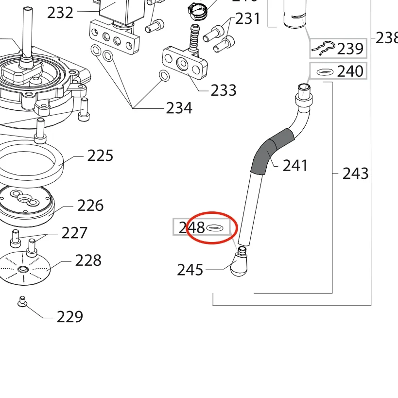 Gaggia Classic Stoomptip pakking Van Pommeren