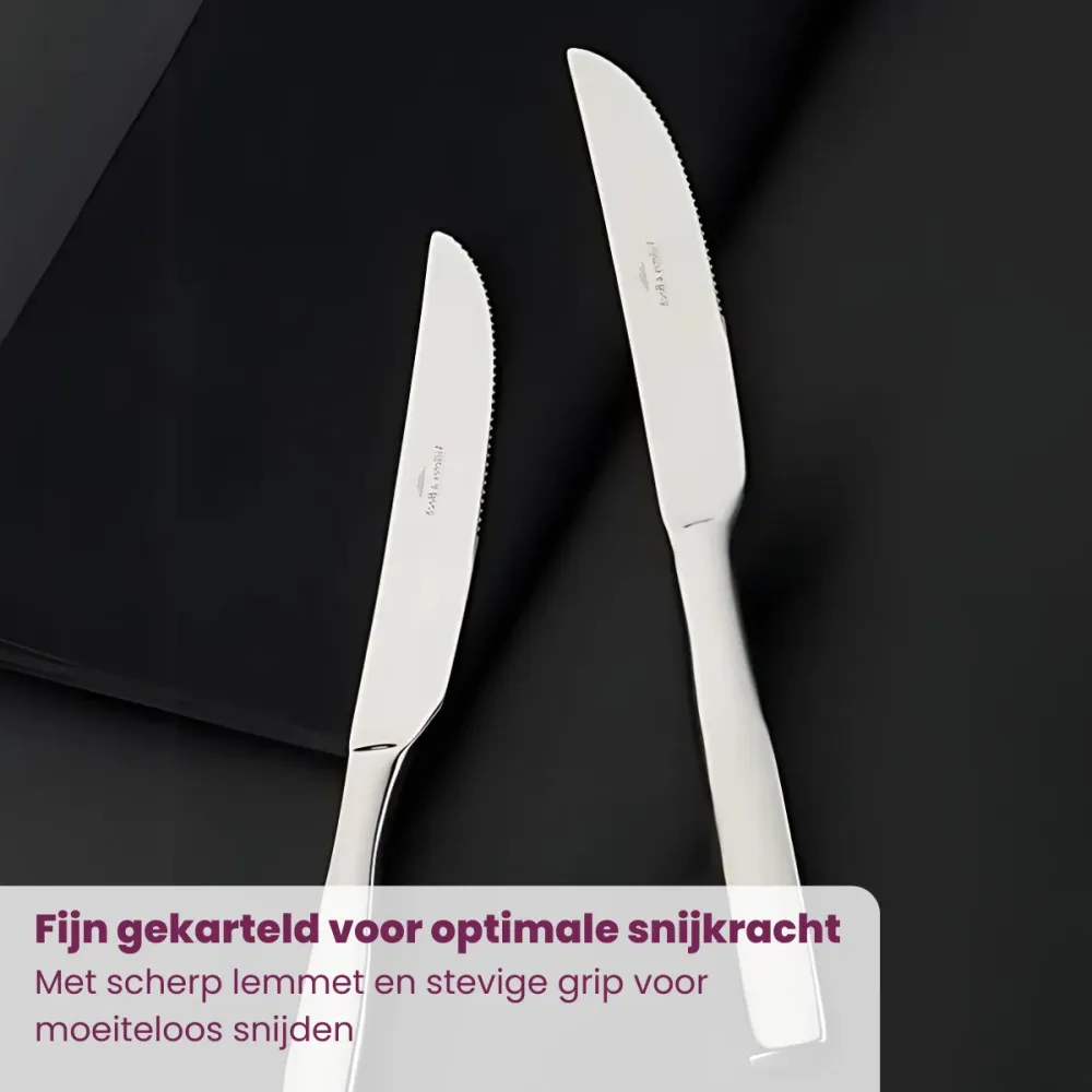 Villeroy & Boch Steakmessenset Piemont - 18/10 RVS - 6-delig