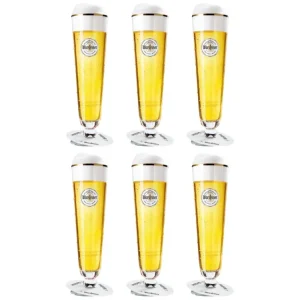 Warsteiner Bierglazen op Voet - 300 ml - 6 stuks