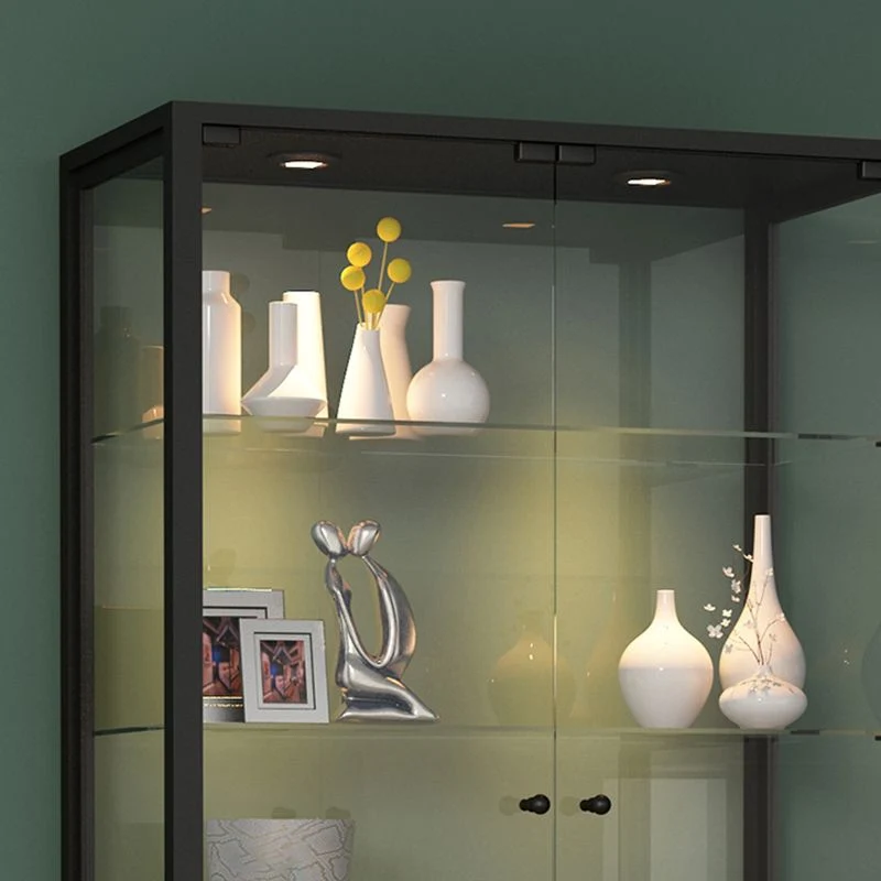 Actueel Curio Cabinet Metal Storage Cabinet Lighting Dining Room 31l