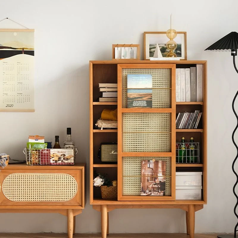 Closed Back Bookshelf Stevig Wood Contemporary Bookcase Doors 32