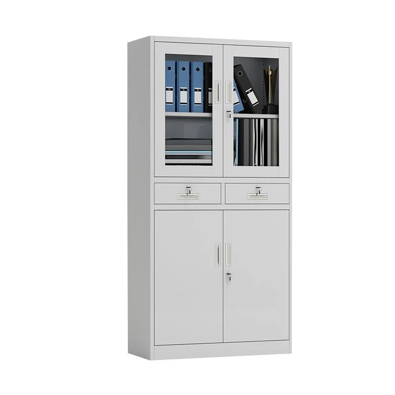 Contemporary Cabinet Glazen Vertical Filing Cabinet Storage Shelves