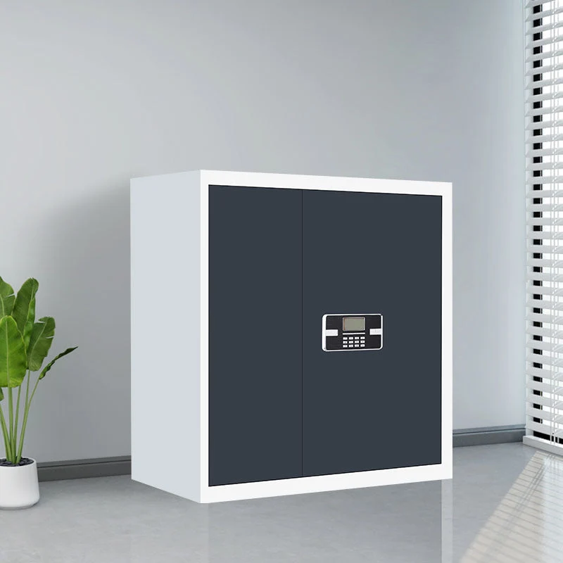 Contemporary File Cabinet Staal Frame Fire-Resistant Vertical File Cabinet Lock Coffee