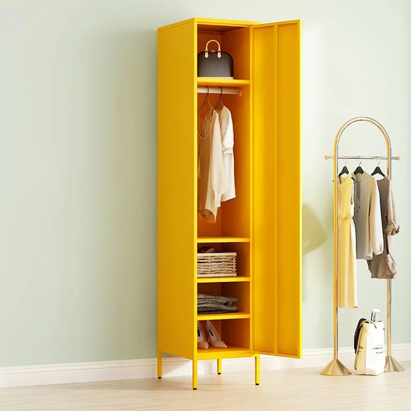 Modern Metal Storage Cabinet Bedroom Doffe Finish Cabinet Hinged Door Textured