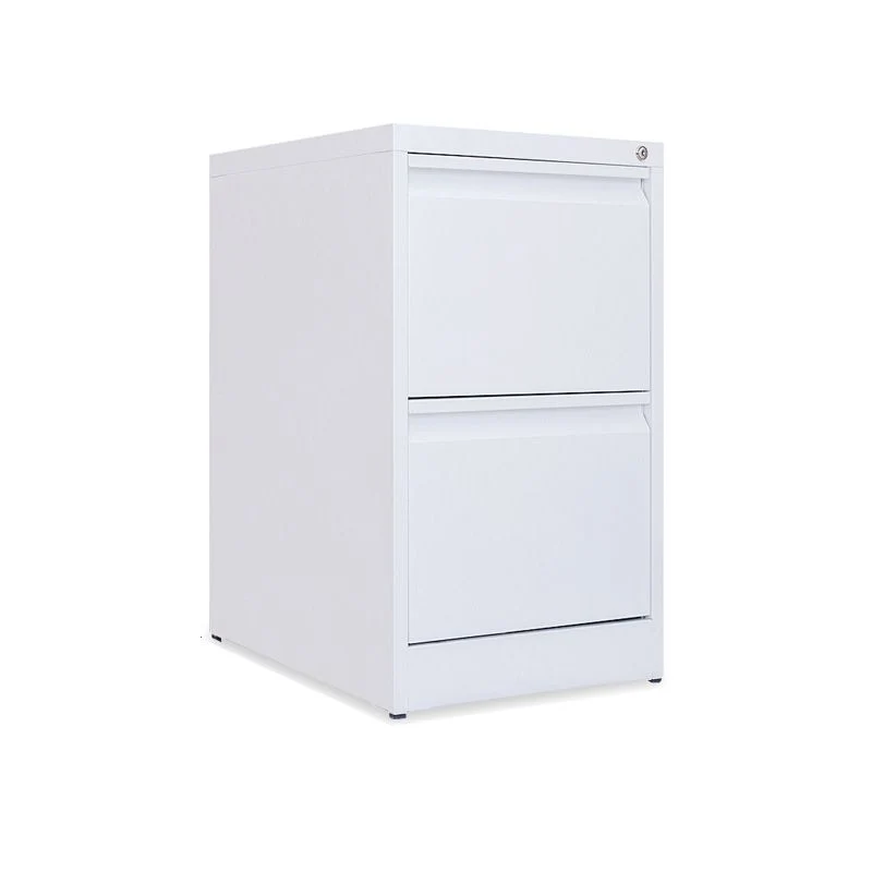 Modern Vertical Filing Cabinet Metaal Filing Cabinet Lock and Storage