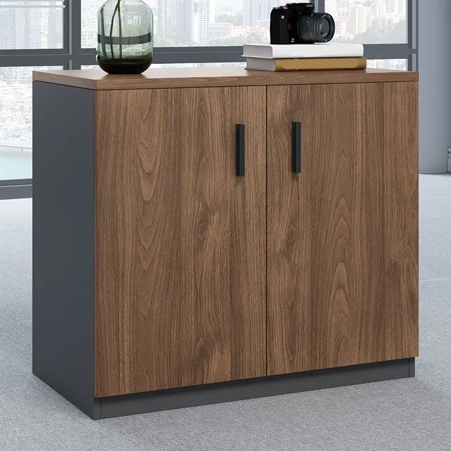 Traditional Wood Cabinet Locking Drawers and Regelbaar Storage Shelves File Cabinet Brown