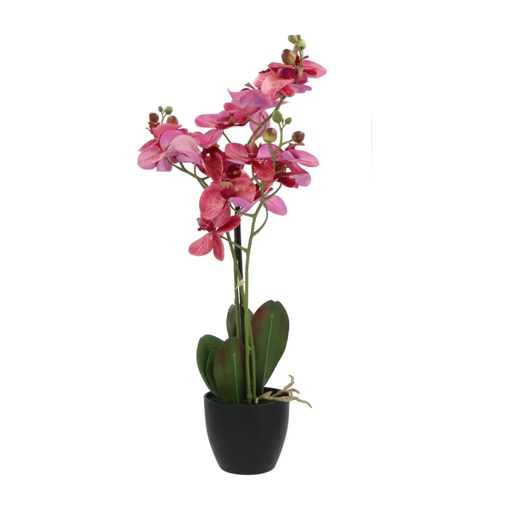 Kopu® Kunstbloem Orchidee 65 cm Lila met zwarte Sierpot - Phalenopsis