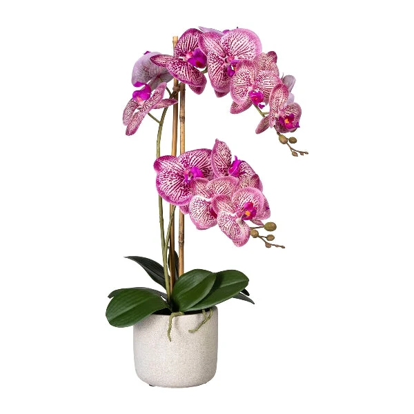 Kopu® Kunstbloem Orchidee 60 cm Roze - cement Sierpot - Phalenopsis