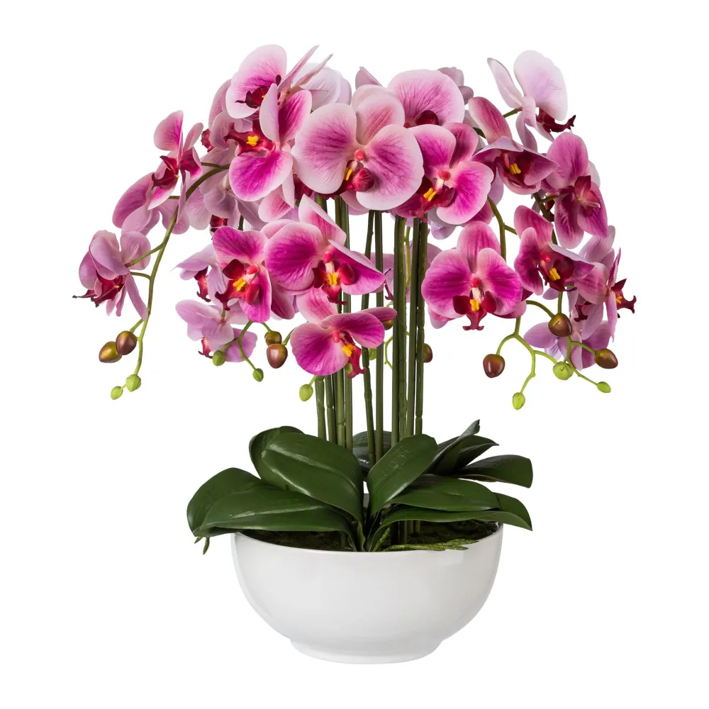 Kopu® Kunstbloem Orchidee 54 cm Roze met Schaal - Phalenopsis