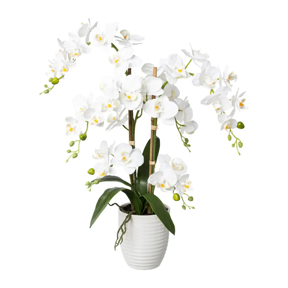 Kopu® Kunstbloem Orchidee 67 cm Wit Bloempot Rond - Phalaenopsis