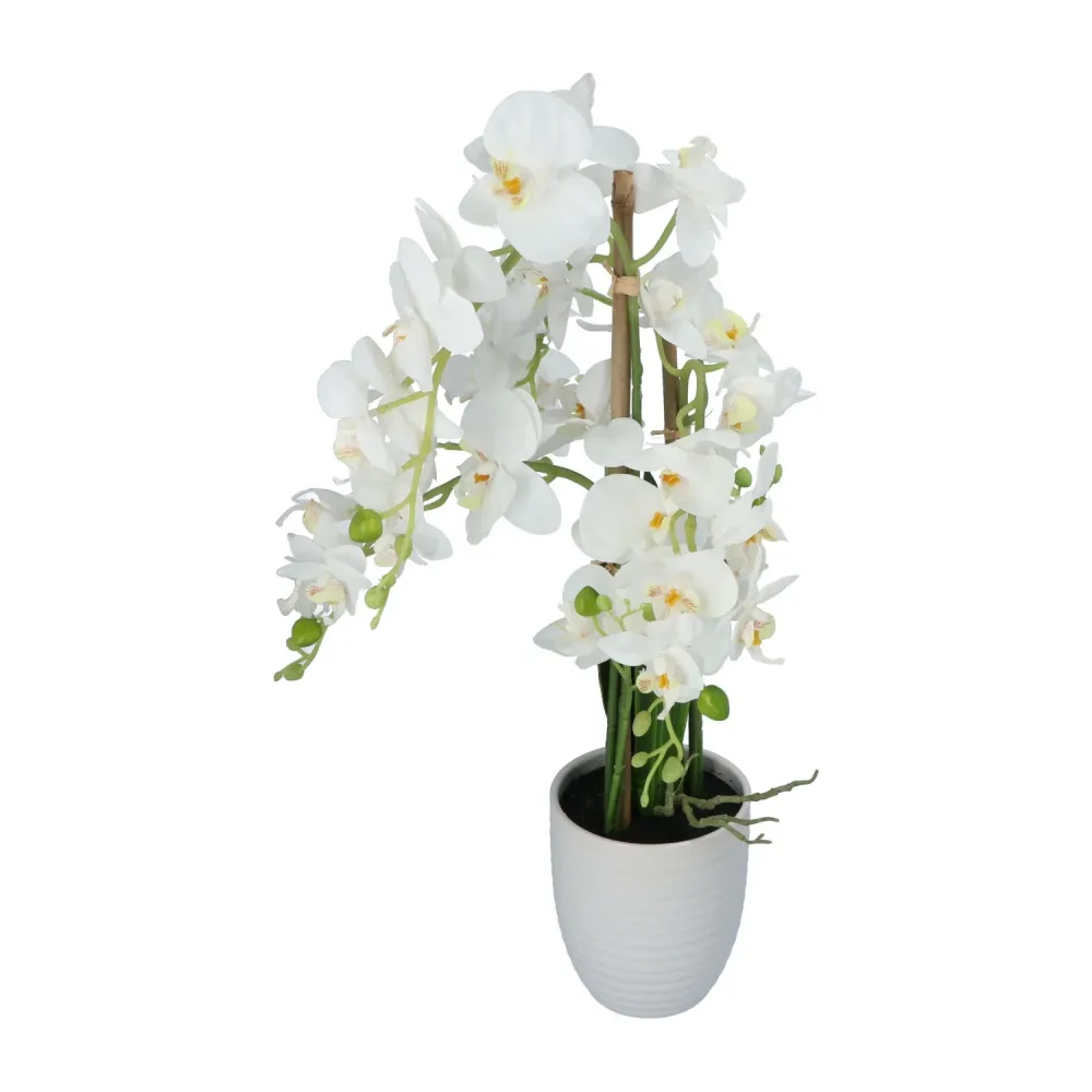 Kopu® Kunstbloem Orchidee 67 cm Wit Bloempot Rond - Phalaenopsis
