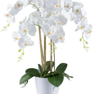 Kopu® Kunstbloem Orchidee 62 cm Wit met witte Pot - Phalenopsis