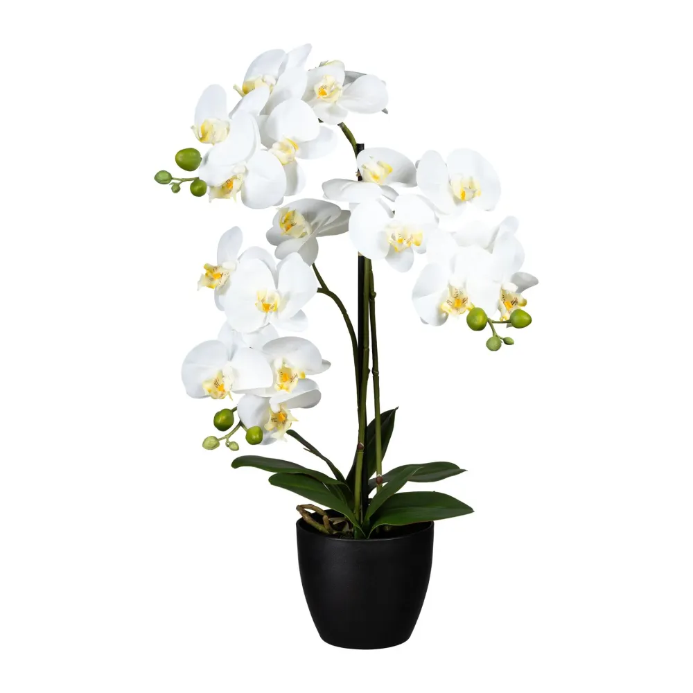 Kopu® Kunstbloem Orchidee 65 cm Wit met zwarte Pot - Phalenopsis