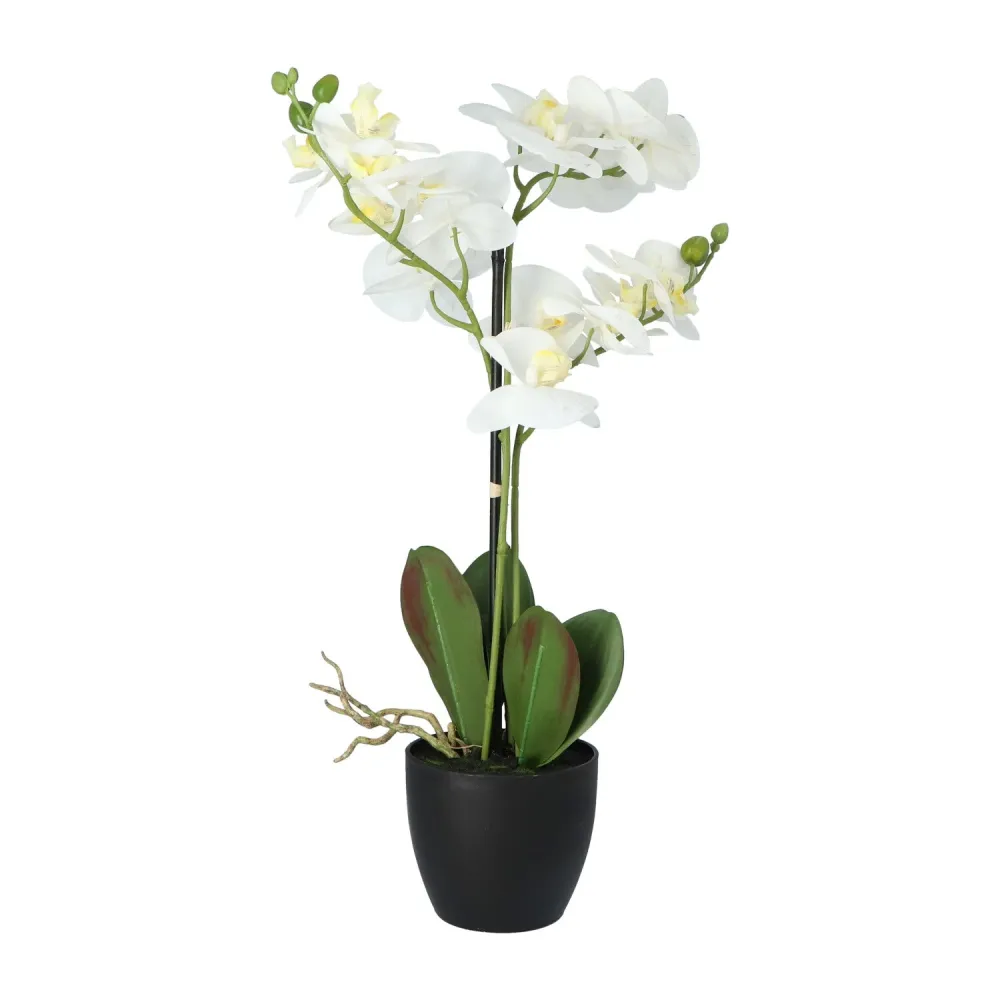 Kopu® Kunstbloem Orchidee 65 cm Wit met zwarte Pot - Phalenopsis