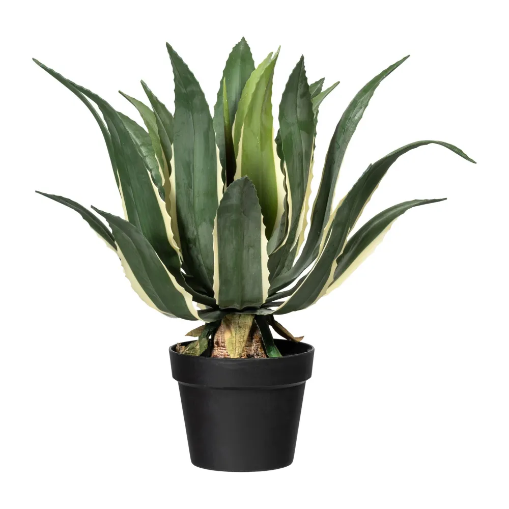 Kopu® Kunstplant Agave Variegeta 57 cm zwarte Pot - 25 bladeren