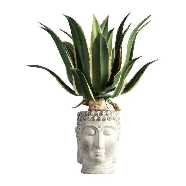 Kopu® Kunstplant Agave Variegeta 57 cm zwarte Pot - 25 bladeren