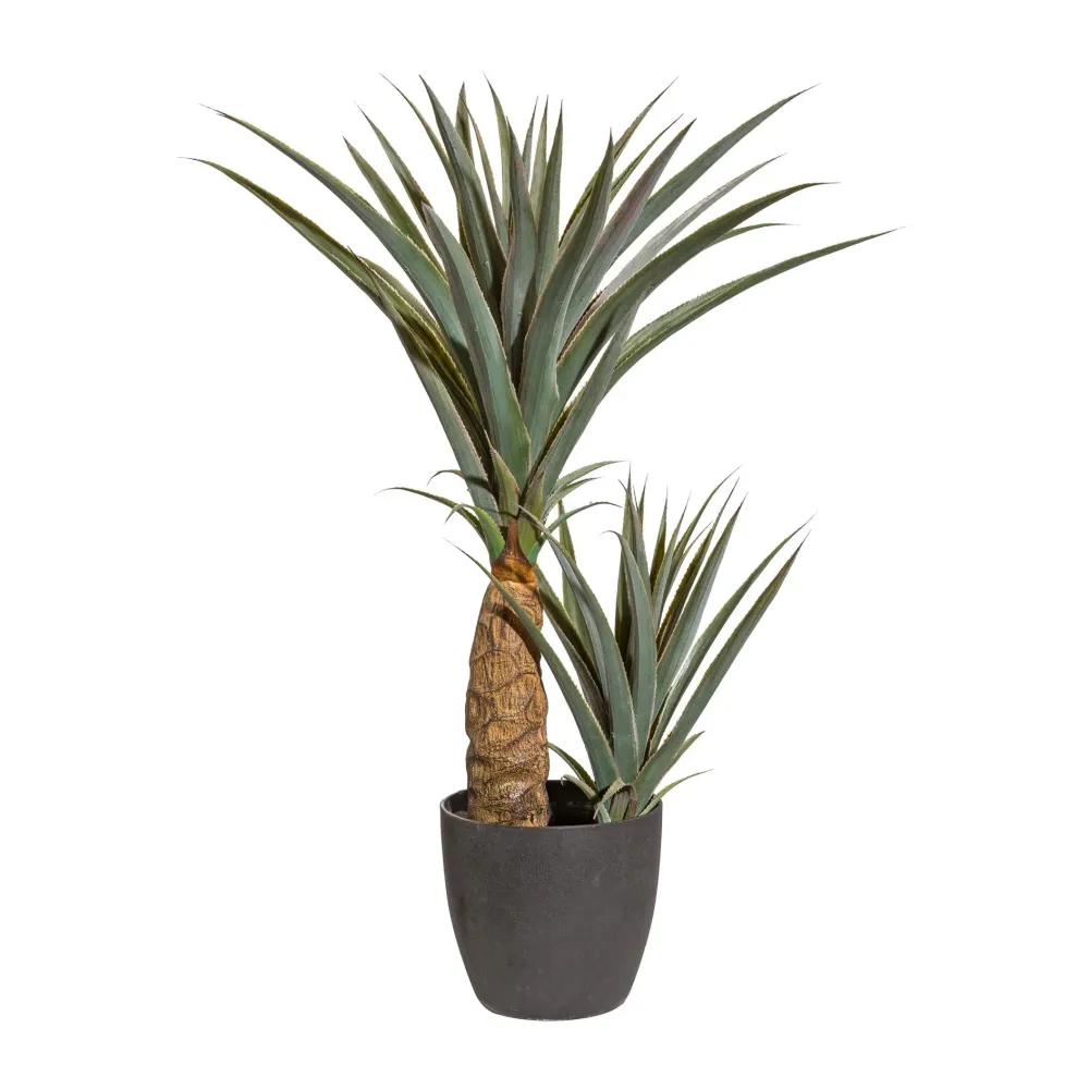Kopu® Kunstplant Agave 80 cm zwarte Pot - 2 stammen - Nepplant