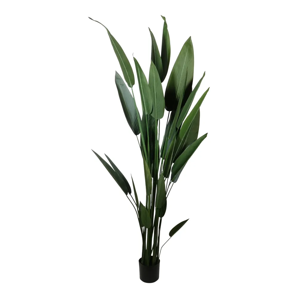 Kopu® Kunstplant Canna 210 cm 32 bladeren - zwarte pot - Bloemriet