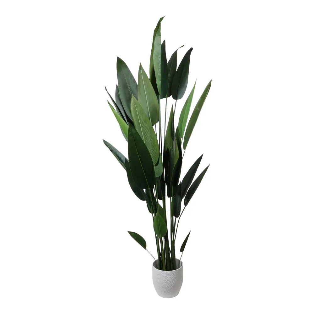 Kopu® Kunstplant Canna 210 cm 32 bladeren - zwarte pot - Bloemriet