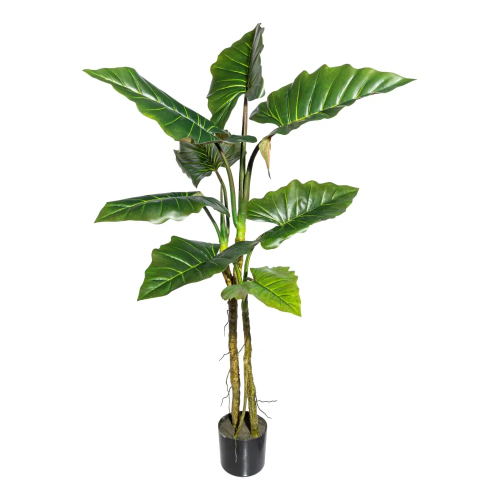 Kopu® Kunstplant Colocasia 140 cm - 8 bladeren - zwarte pot