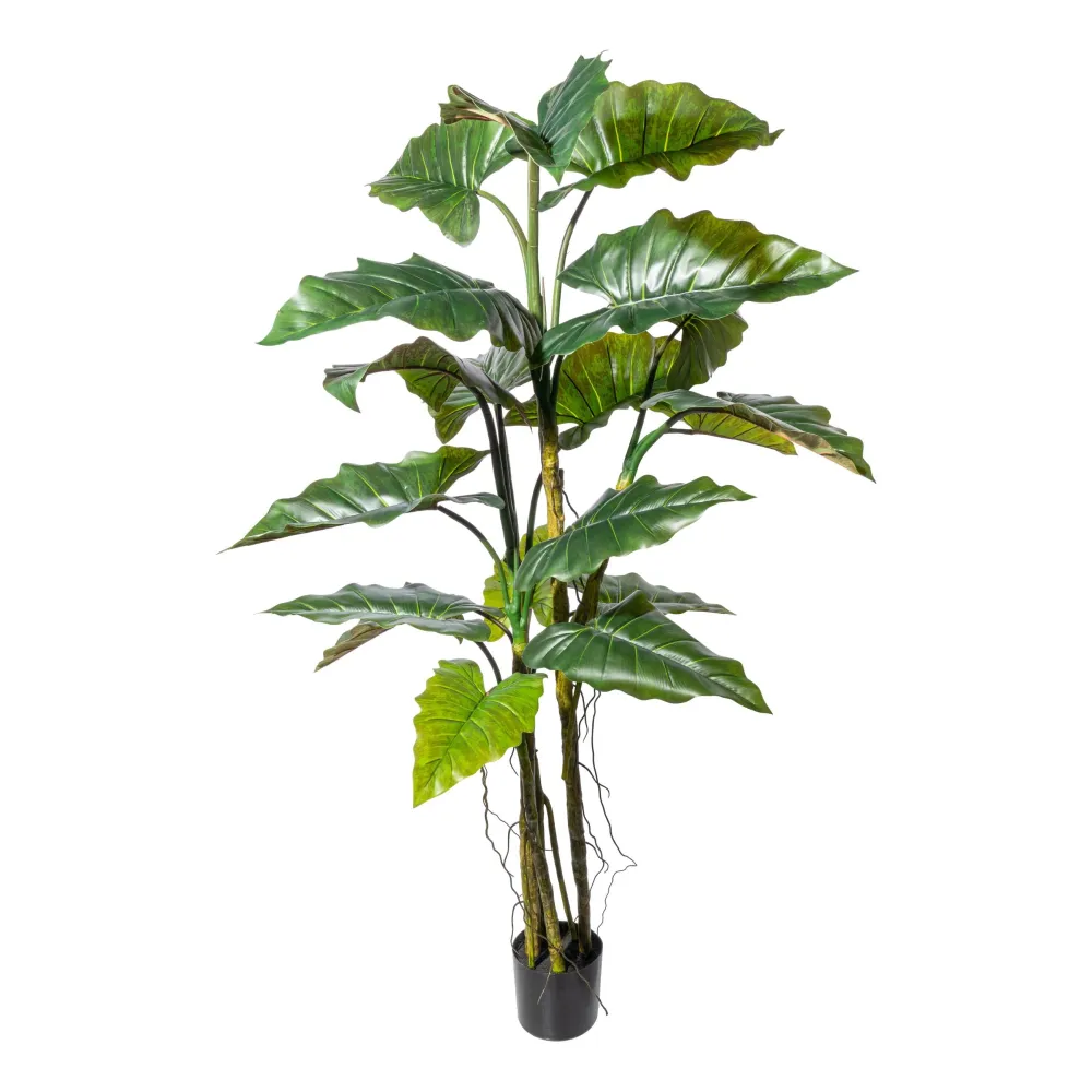 Kopu® Kunstplant Colocasia 180 cm - 19 bladeren - zwarte pot